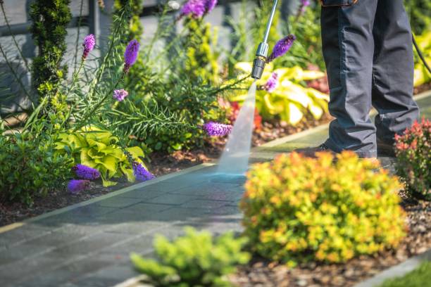  Embreeville, TN Pressure Washing Pros